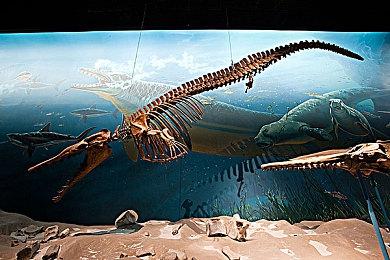 《全面战争：战锤3》混沌冠军勇士与超凡帝国（测试版）现已发布